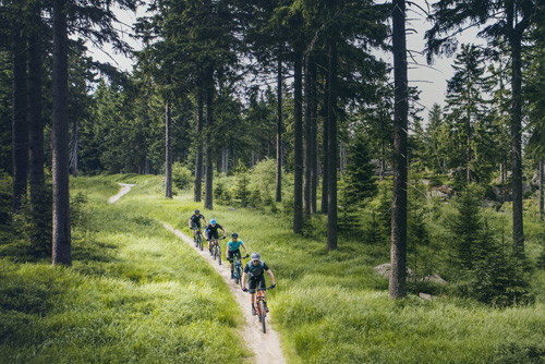 langweid fahrrad